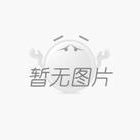 SCD斷鏈保護(hù)器（失速開(kāi)關(guān)）